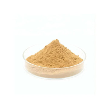 organic ginkgo biloba powder 100% pure