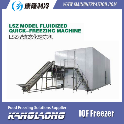 Hot Sale IQF Cherry Fast Freezing Machine with low price