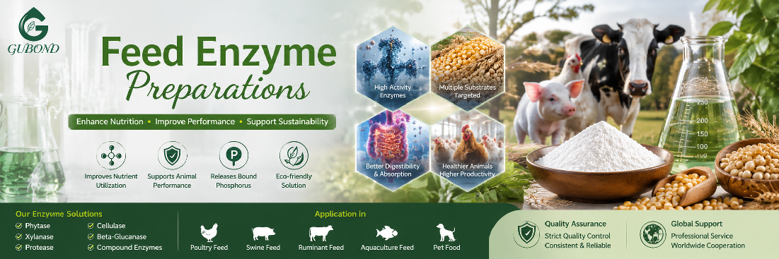 Feed enzyme preparations