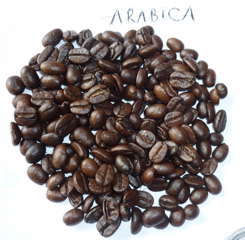 Roasted Arabica coffee bean