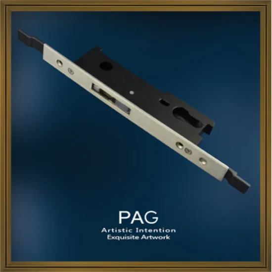 SUS Multi Point Lock with Hook Spring Bolt