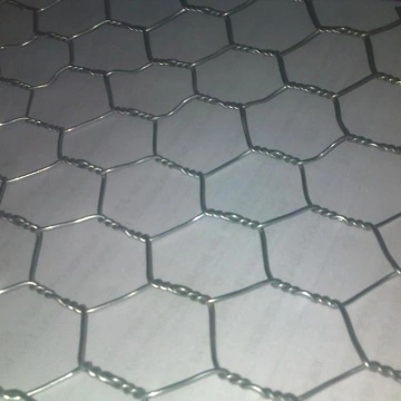 China Hexagonal Mesh (Plastic Mesh) Manufacturer and Supplier