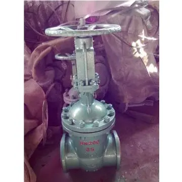 Vacuum  Gate Valves
