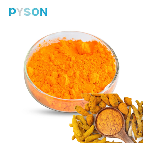 Turmeric Extract Curcuminoids 95% HPLC 20-60mesh