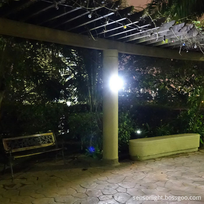 Solar Lights With Remote Control Rechargeable 9