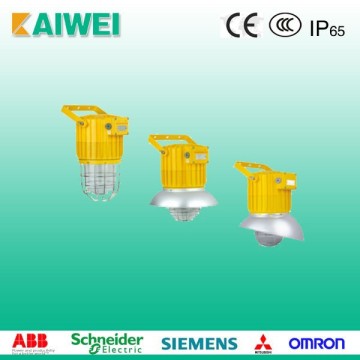 BAD91 Series Explosion-proof Light Fittings, Pendant Light Fittings