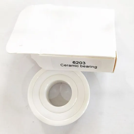 ZrO2 Full Ceramic Bearing 6201-6208 Price List