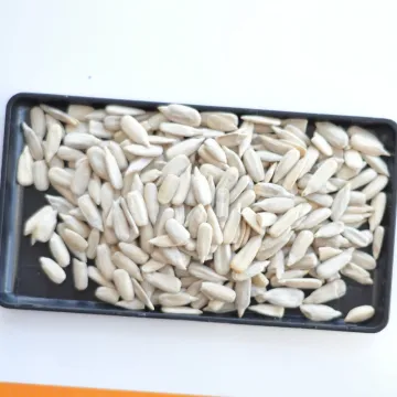 Inner Mongolia origin dehulled sunflower kernel