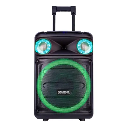 2024 SANSUI 15 Inch Caxia De Som Professional Audio Karaoke Speaker