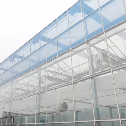 Fully Automatic Smart Greenhouse: MYXL Commercial Agriculture Glass Greenhouse