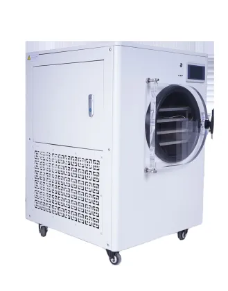 Vegetable Freeze Dryer with Vacuum Cavitation System