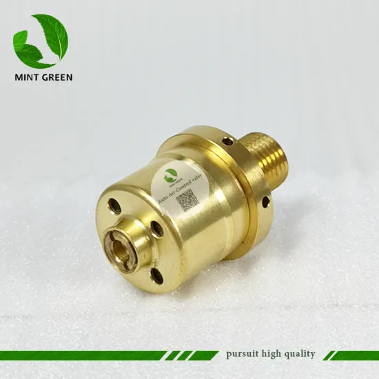 FREESHIPPING AUTO AC Compressor Control Valve for FORD for PEUGEOT for RENAULT for VOLKSWAGEN CITROEN SANDEN SD7V16 SD7V12