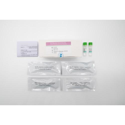 Kit Uji Asam Nukleat EV (PCR- Metode Probe Fluoresensi)