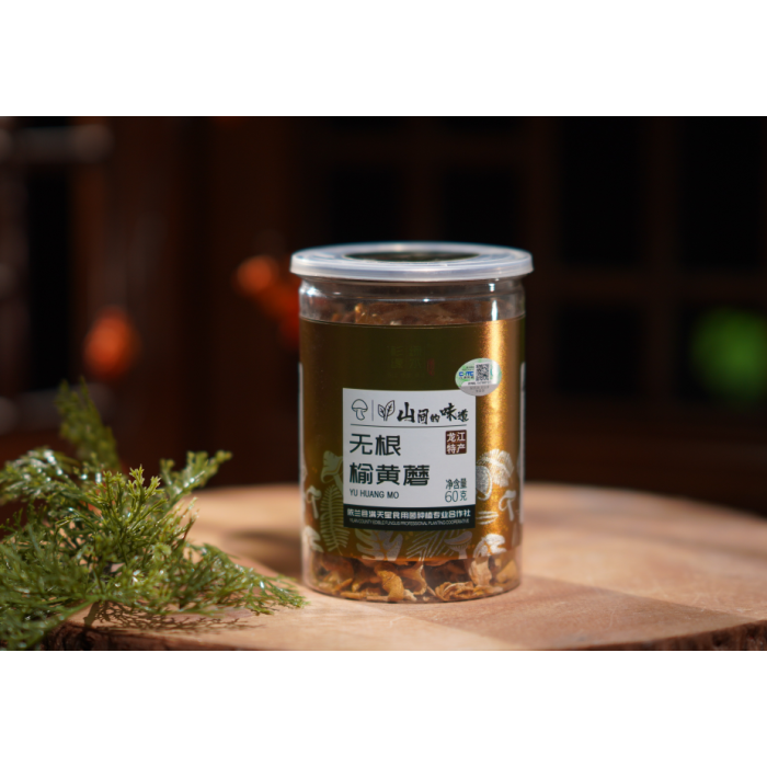 Cogumelos Amarelos Secos de Olmo