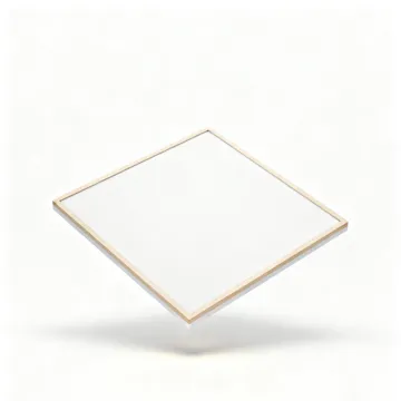 LED Ceiling Light for Entrance Hall