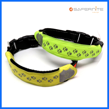Luce di sicurezza a led lampeggiante per banda collare per cani