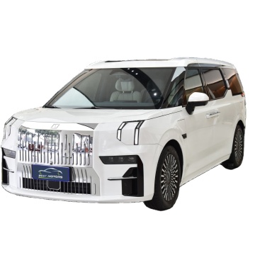 Zeekr 009 الفاخرة EV MPV مع مصابيح LED للبيع