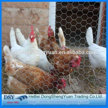 low carbon steel Chicken Coop Wire Netting/Chicken Wire Cheap Hexagonal Mesh/Chicken Coop Galvanized Wire Mesh