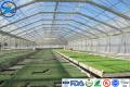 Pellicole HDPE trasparenti per piscine/agricoltura/membrana impermeabile