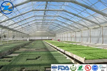 Transparent HDPE Films for Pools/Farming/Waterproof Membrane