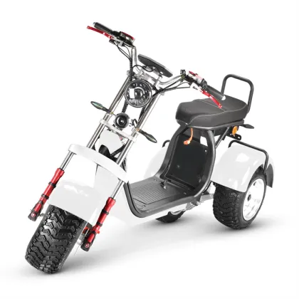 Sunra Electric Express Tricycle: Professional Manufacturer's 4000W Recreational Electric Tricycle