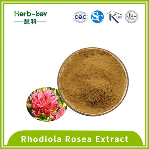 Herbal Medicine Factory direct supply herbal Rhodiola extract powder Manufactory