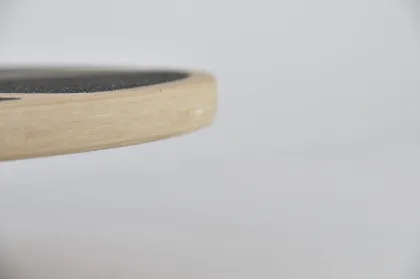 Round wooden balance board for gym exercise
