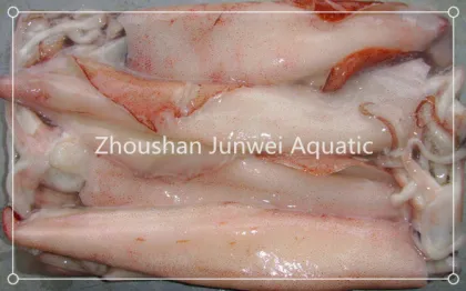 land frozen Chinese red squid