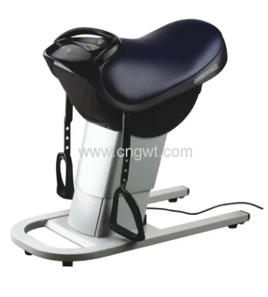 Automatic Horse Riding Machine 