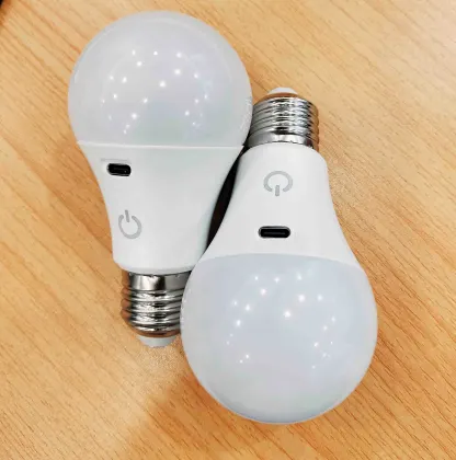 Rechargeable LED light bulbs
