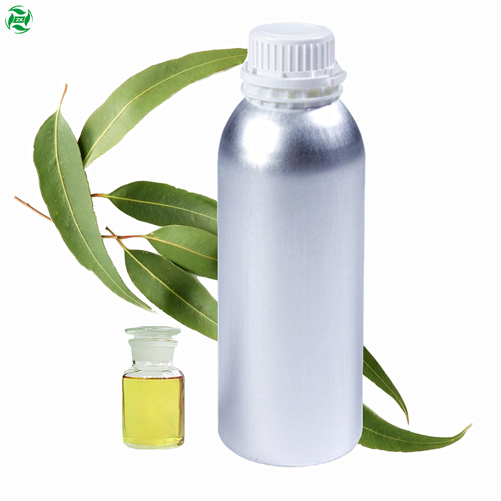 Huile d&#39;eucalyptus globulus de qualité pharmaceutique biologique en vrac