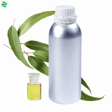 Minyak Eucalyptus Globulus Kelas Farmasi Organik Massal