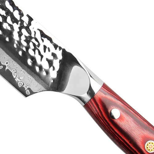 G10 Pakka Wood Handle 67Layer Damascus Chef Knife