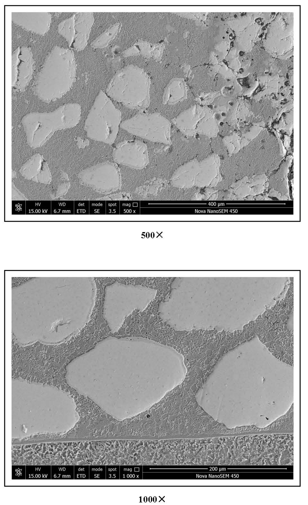 Metallographic Pictures_Tungsten Carbide Overlay Plate (3)