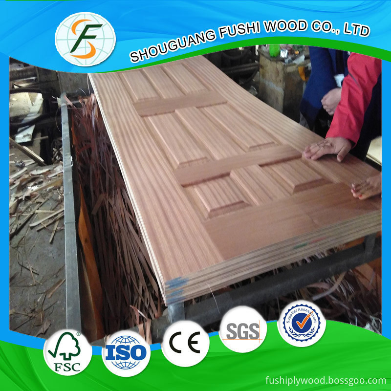 wood veneer door skin029