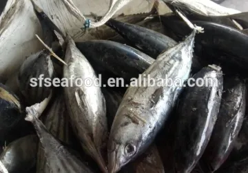 precooked skipjack tuna loin