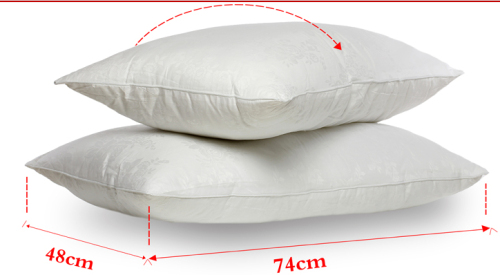 Double Type Duck Down Feather Pillow