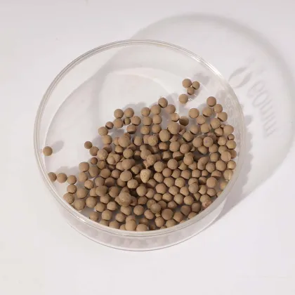 Moisture-proof and mildew-proof desiccant
