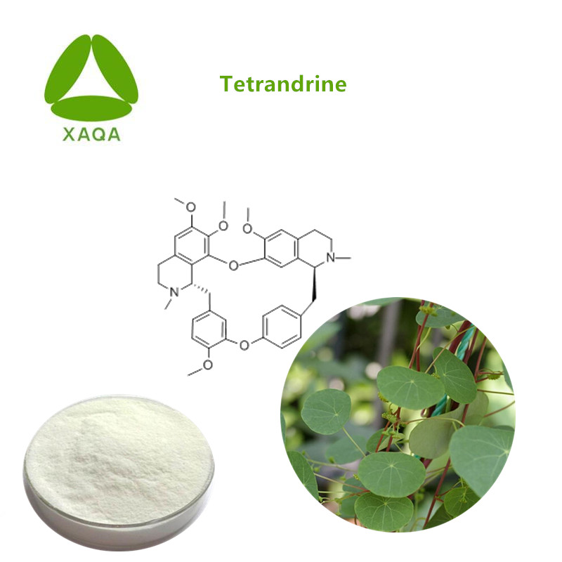 tetrandrine powder