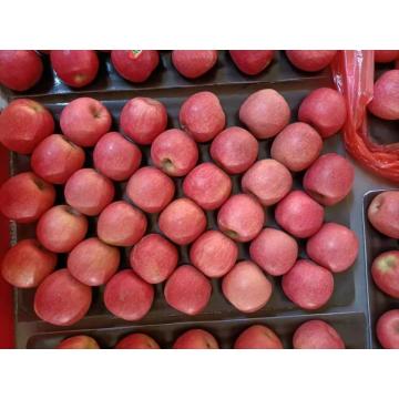 2021 crop fresh pink lady apple