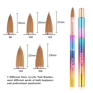 Brosse à nails de nail en acrylique professionnel avec des cheveux épais
