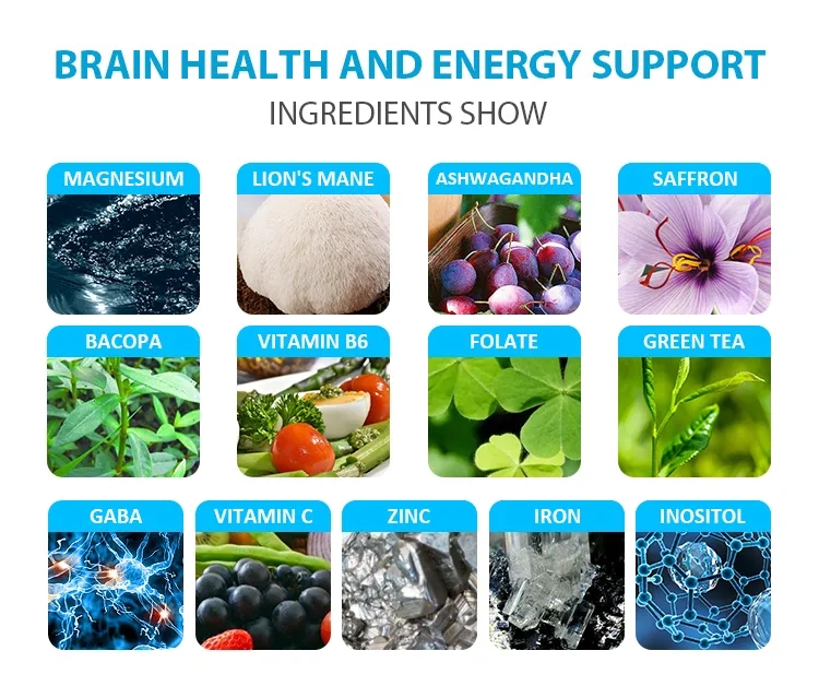 OEM/ODM Super Nootropic Brain Booster Oral Liquid Drink lion mane Improve brain drinks vegan brains boost lion mane drinks