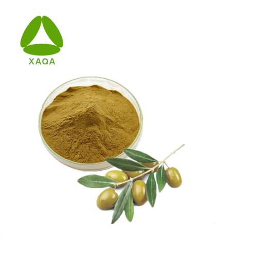 Olive Leaf Extract Oleuropein 20% 40% 60% Powder