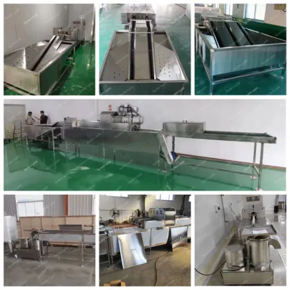 Semi-Automatic Fertilized Chicken and Duck Egg Washer for Farms