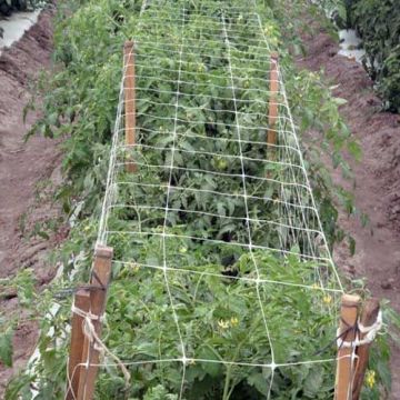 White Plastic Pressed Style Trellis Netting for Plants