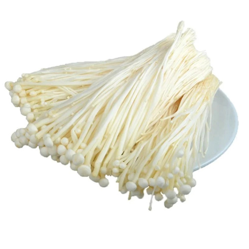 Animal Husbandry Materials Enoki Mushroom Extract Powder with polysaccharide Supplier