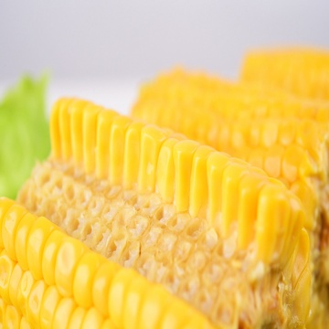 Vacuum Seal Fresh Corn On The Cob