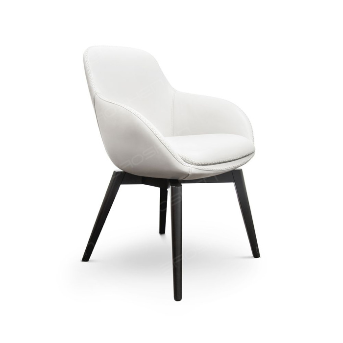 Cadeiras da sala de jantar Design moderno