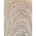 Panel decorativo de madera de álamo blanco