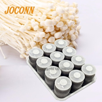 Botellas de relleno de sustrato de hongos de alta temperatura: Cultivo de Oyster y Enoki